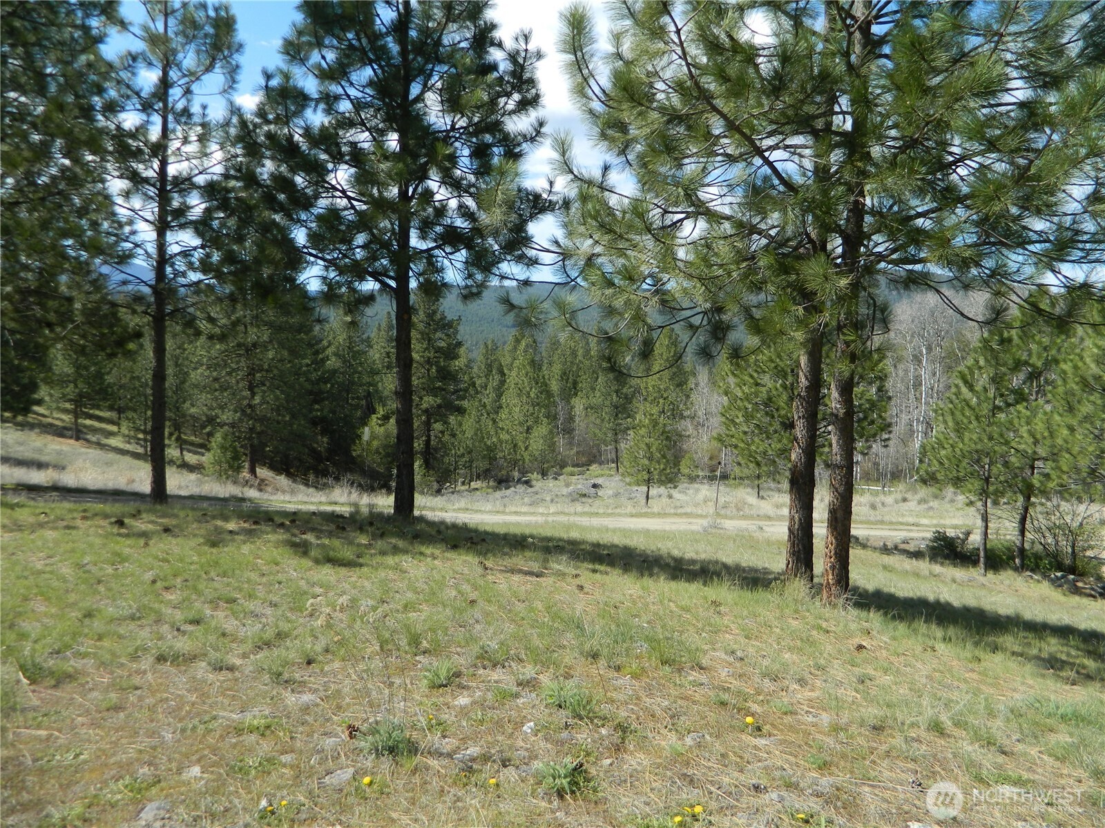 120 Sour Dough Creek Road , Tonasket, WA 98855