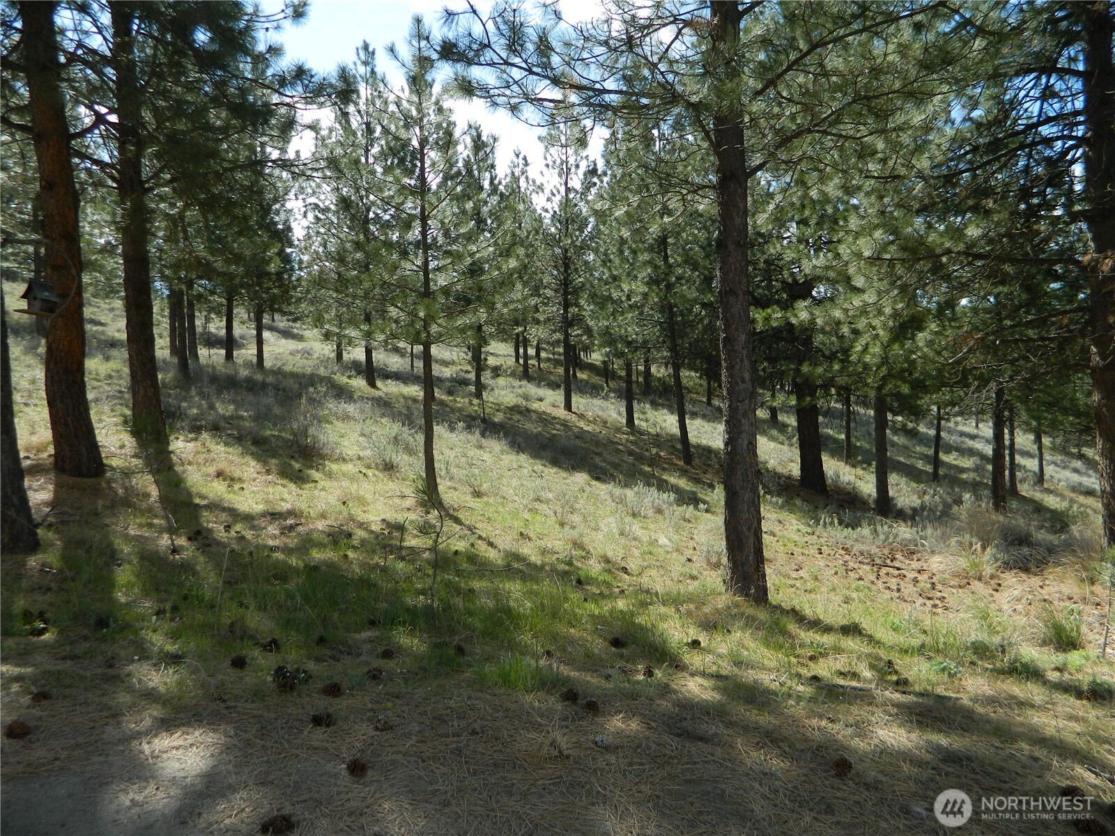 120 Sour Dough Creek Road , Tonasket, WA 98855