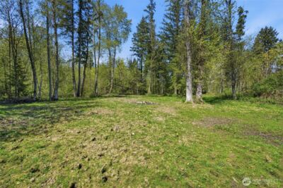 12009 Kapowsin HWY , Graham, WA 98338 - Photo 30