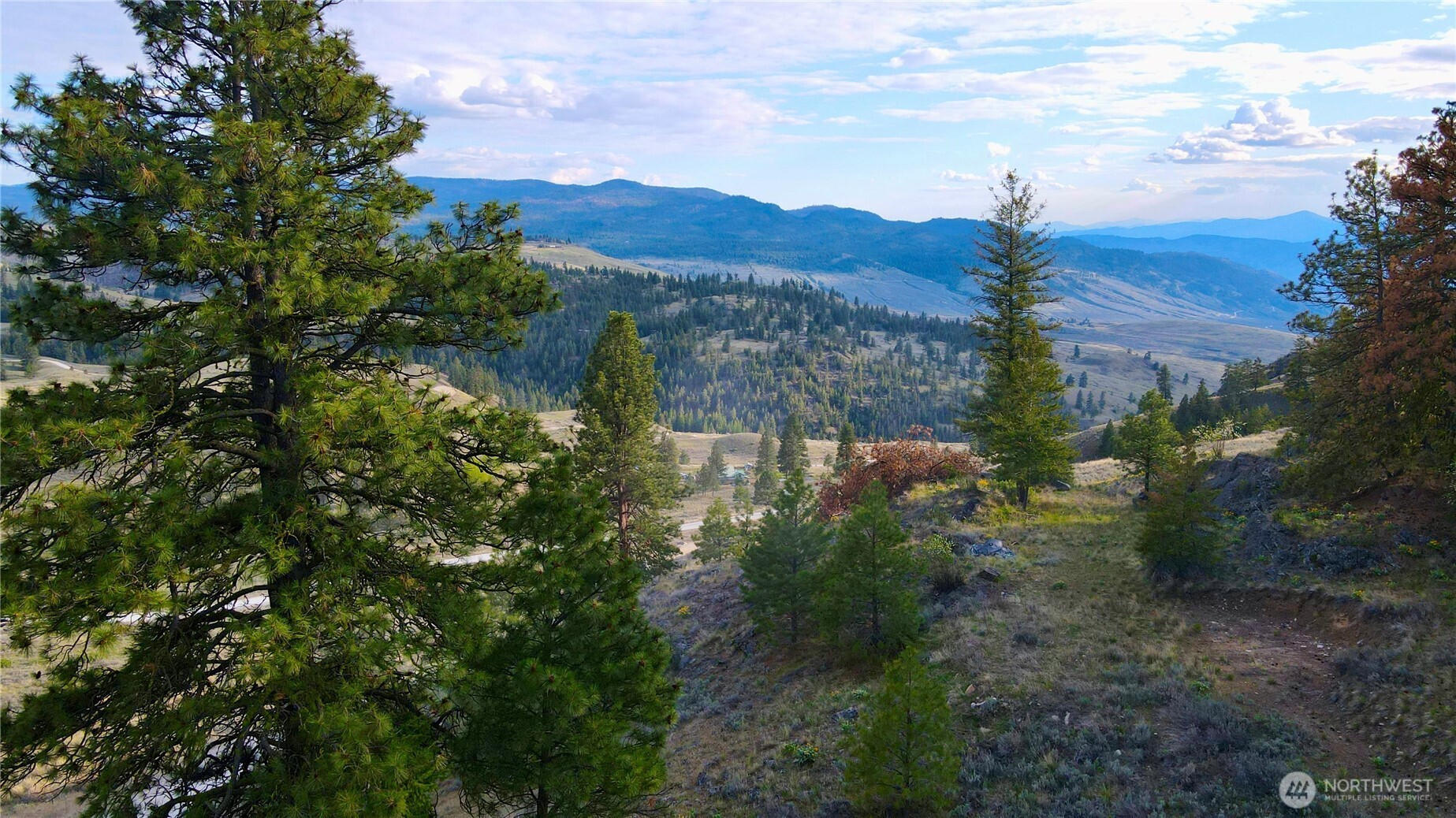 0 TBD Blue Grouse Road , Oroville, WA 98844