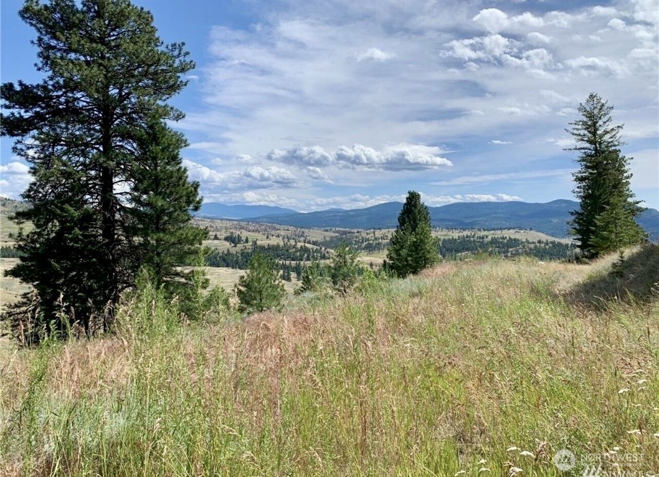 0 TBD Blue Grouse Road , Oroville, WA 98844