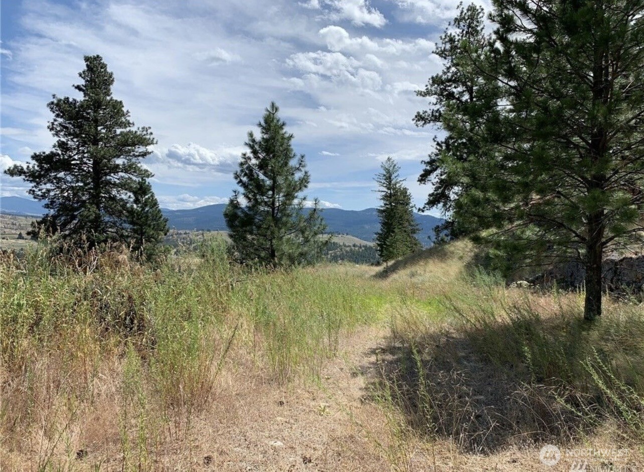 0 TBD Blue Grouse Road , Oroville, WA 98844