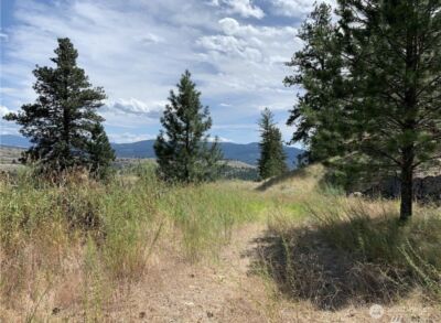 0 TBD Blue Grouse Road , Oroville, WA 98844 - Photo 12