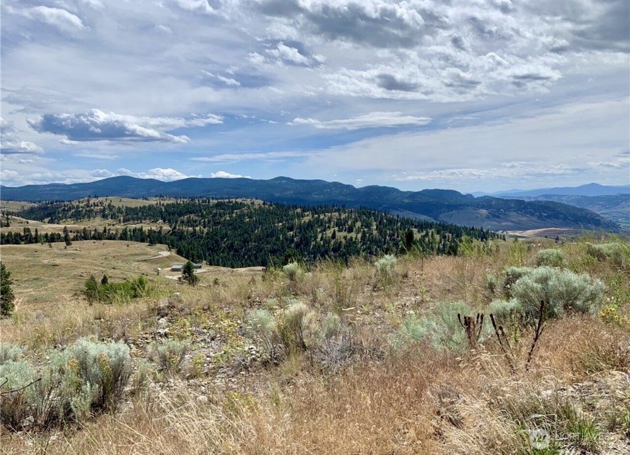 0 TBD Blue Grouse Road , Oroville, WA 98844