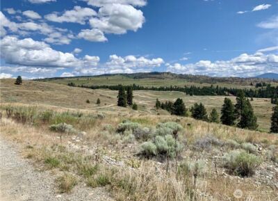 0 TBD Blue Grouse Road , Oroville, WA 98844 - Photo 14