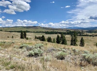 0 TBD Blue Grouse Road , Oroville, WA 98844 - Photo 15