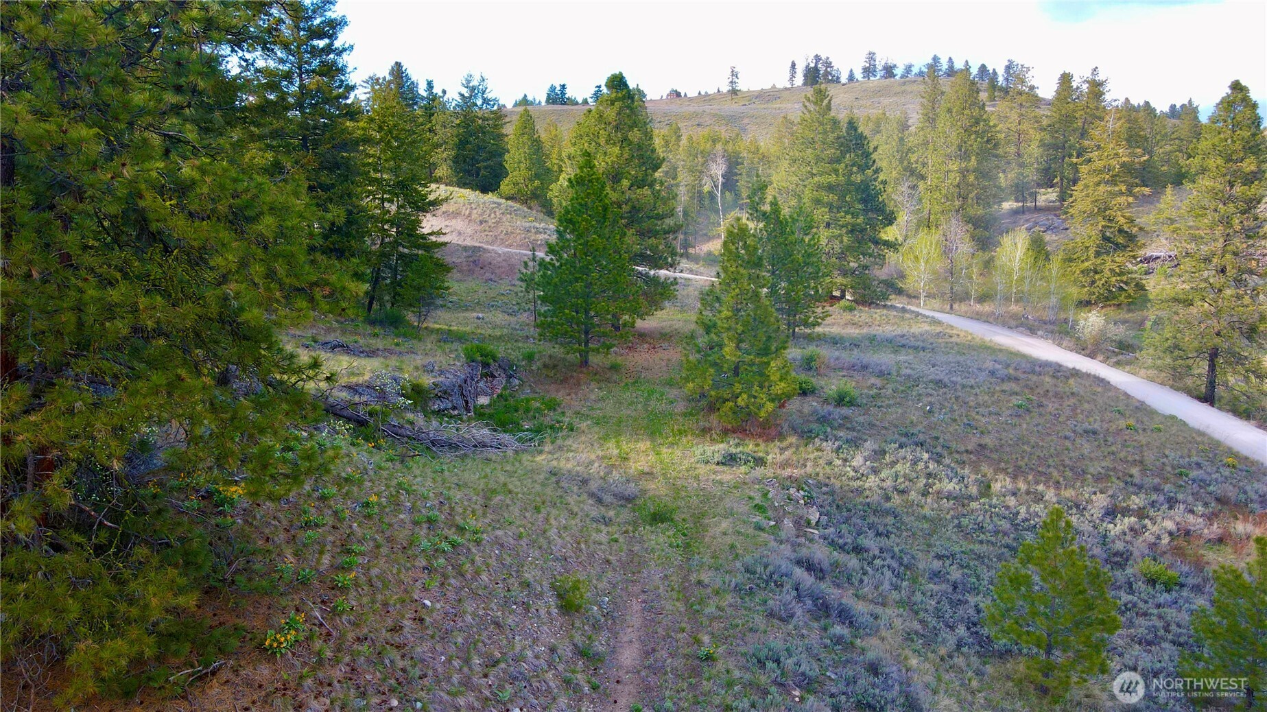 0 TBD Blue Grouse Road , Oroville, WA 98844
