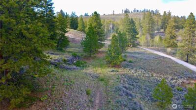 0 TBD Blue Grouse Road , Oroville, WA 98844 - Photo 16