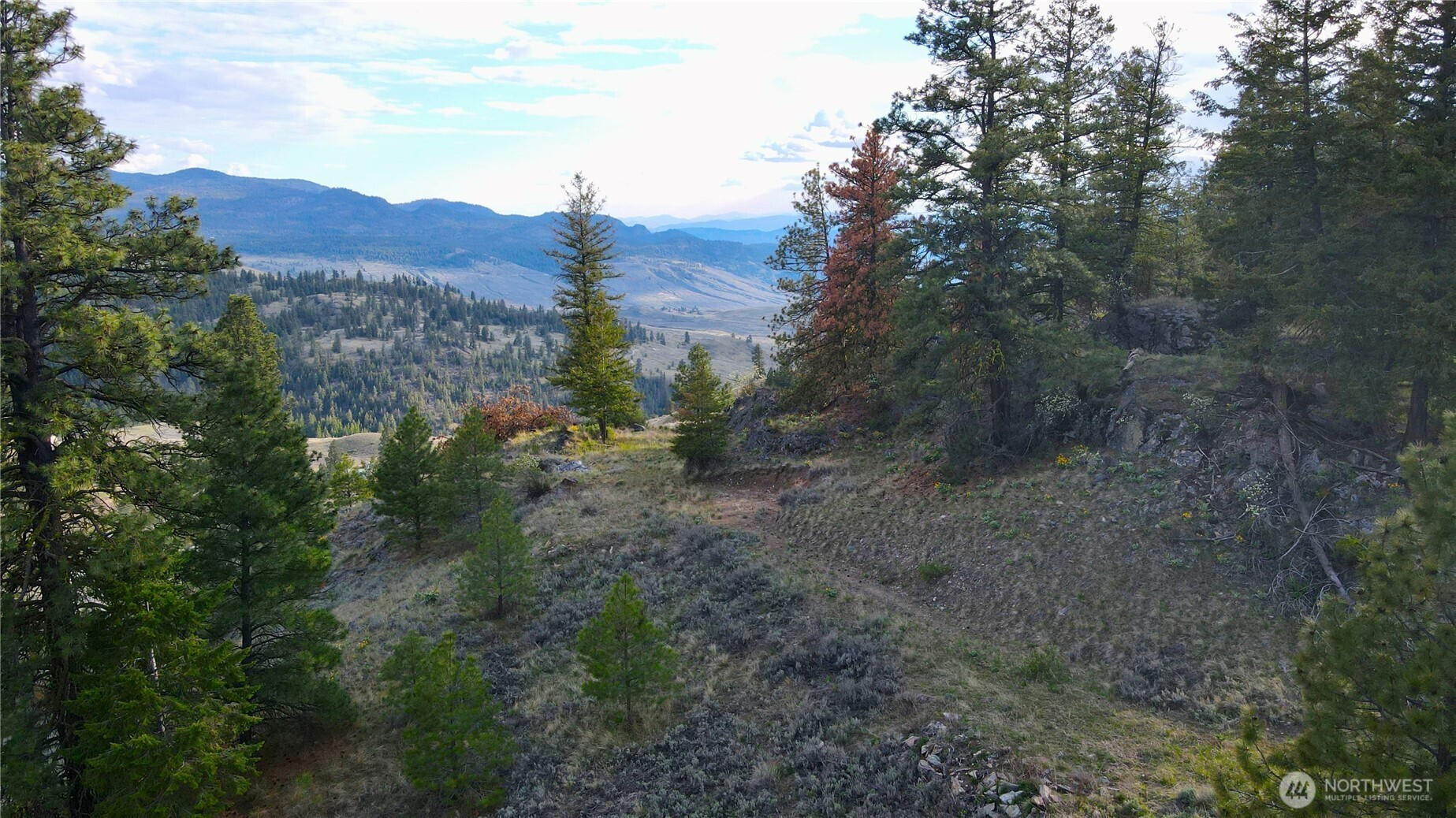 0 TBD Blue Grouse Road , Oroville, WA 98844