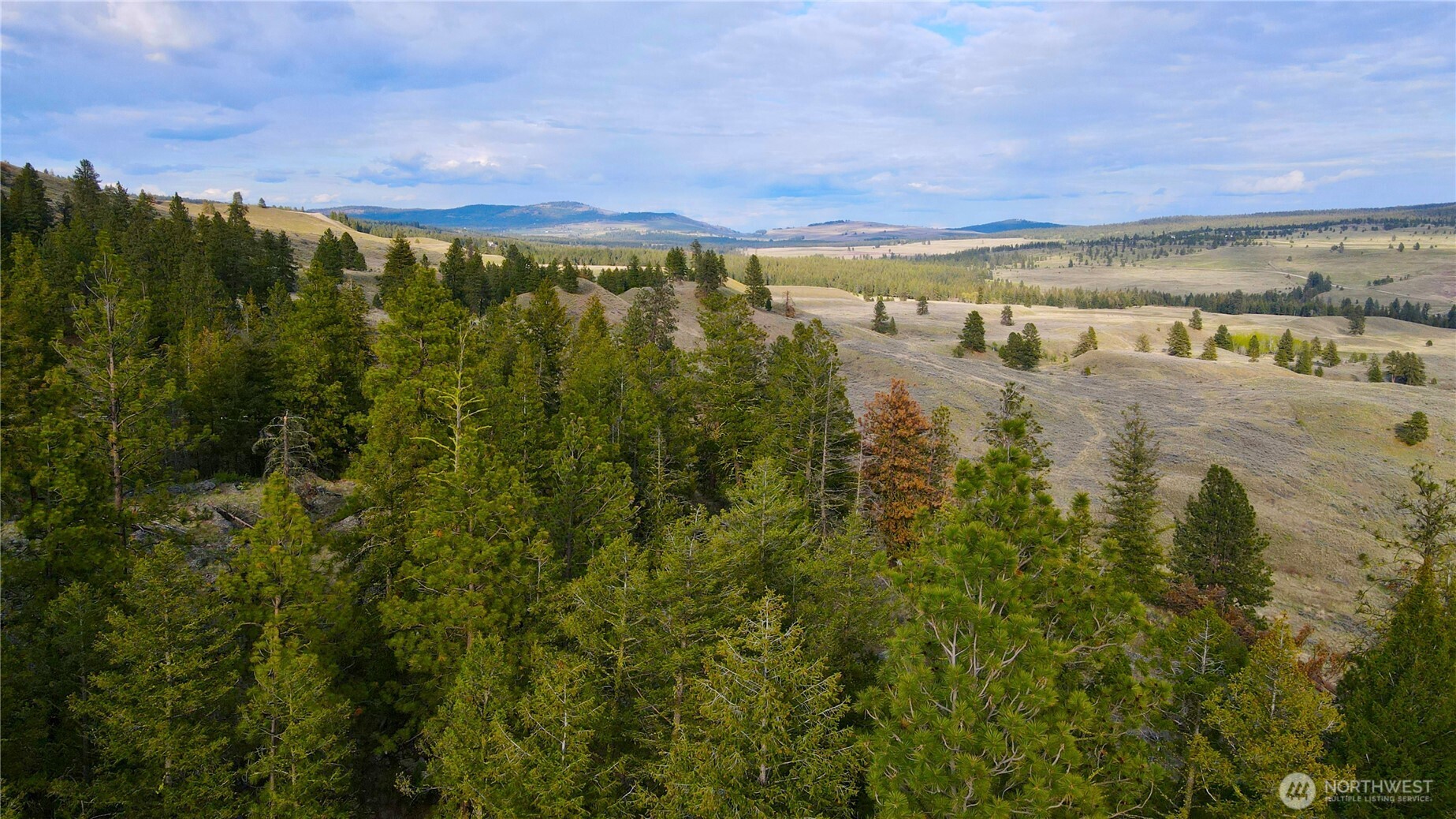 0 TBD Blue Grouse Road , Oroville, WA 98844