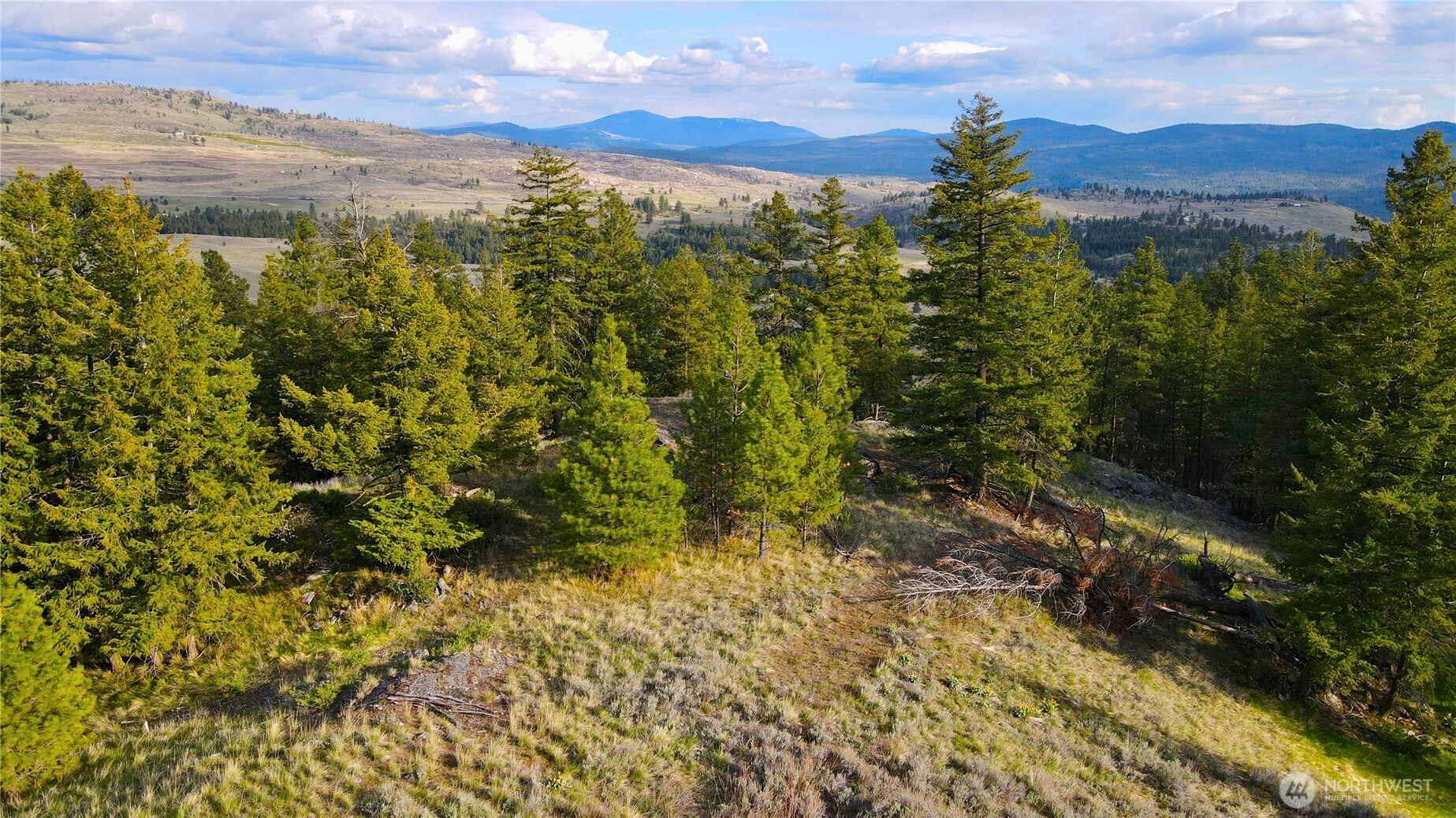 0 TBD Blue Grouse Road , Oroville, WA 98844