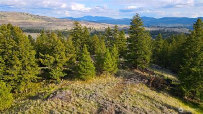 0 TBD Blue Grouse Road , Oroville, WA 98844 - Photo 22