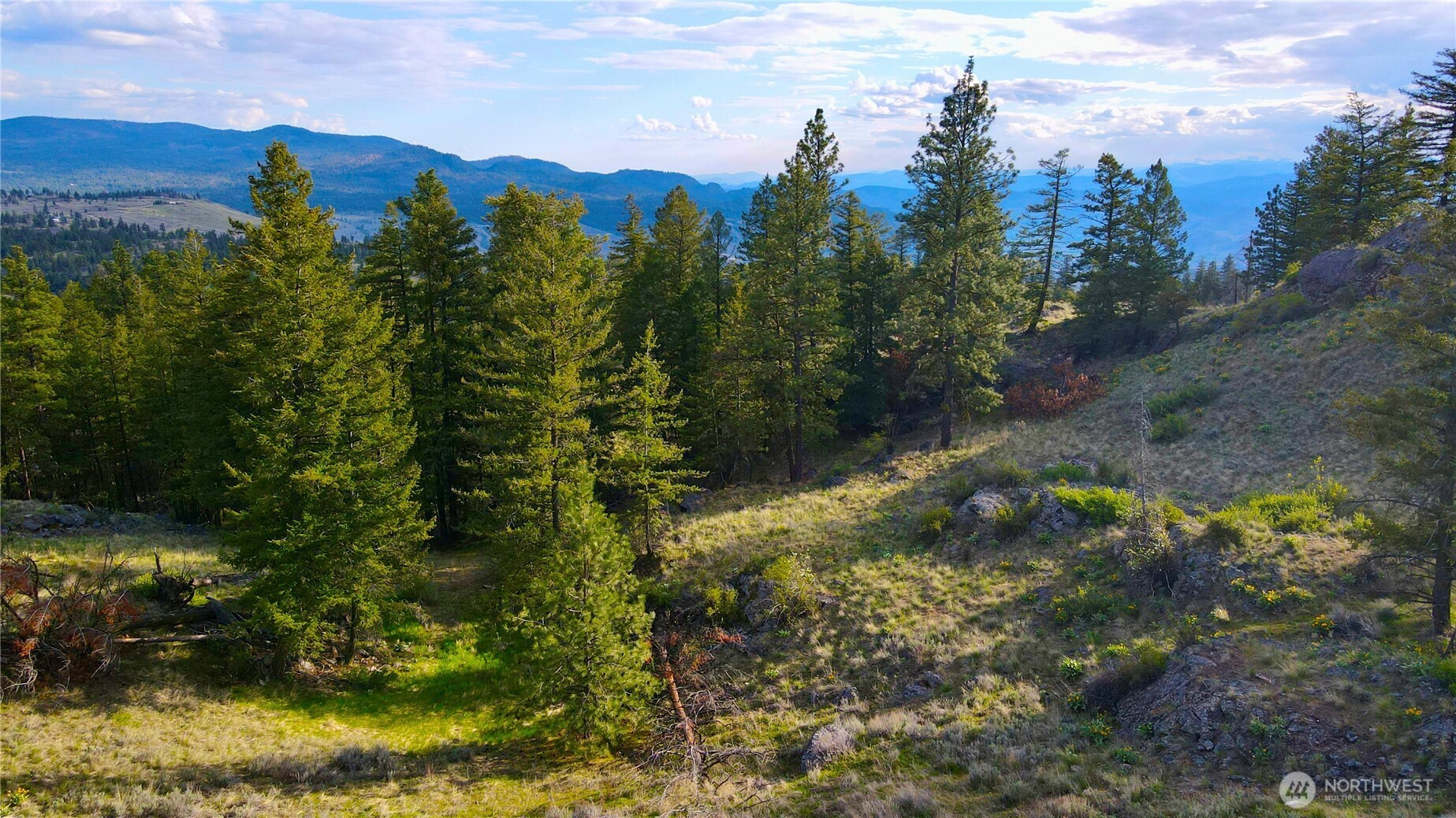 0 TBD Blue Grouse Road , Oroville, WA 98844