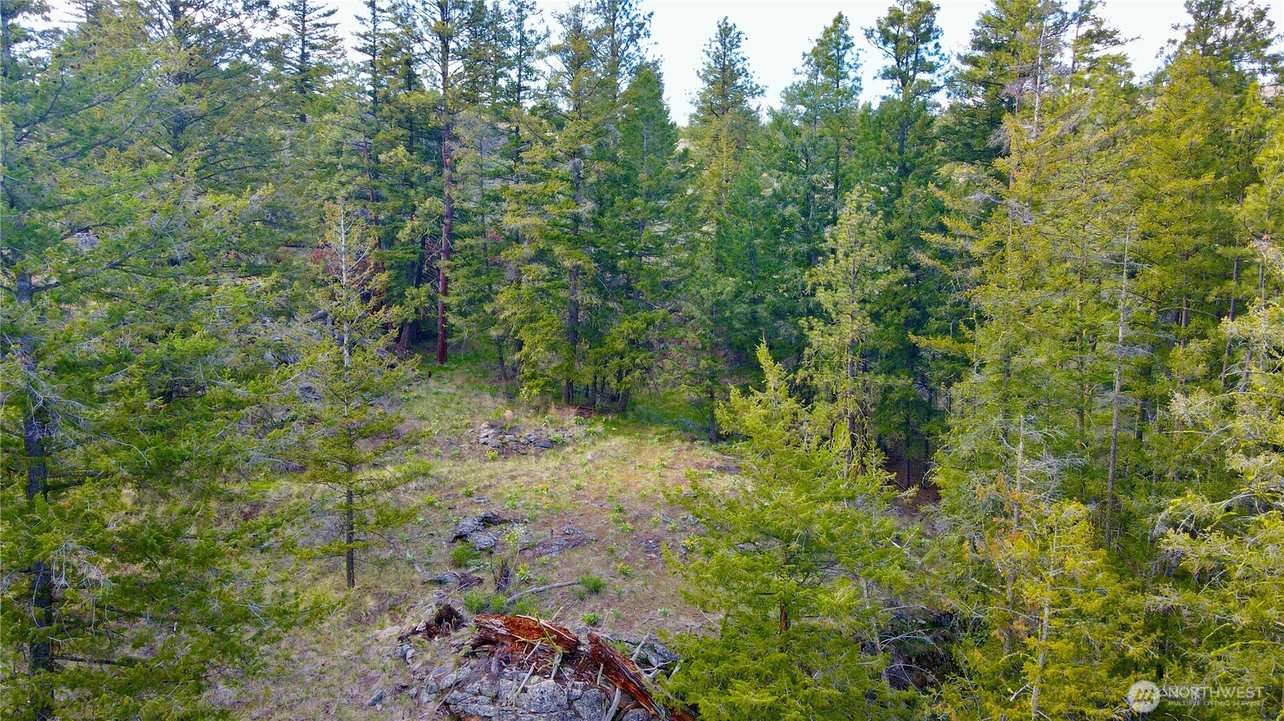 0 TBD Blue Grouse Road , Oroville, WA 98844