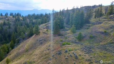0 TBD Blue Grouse Road , Oroville, WA 98844 - Photo 27