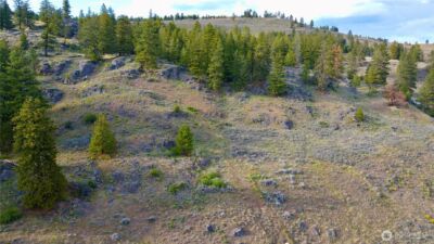 0 TBD Blue Grouse Road , Oroville, WA 98844 - Photo 28