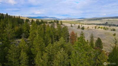 0 TBD Blue Grouse Road , Oroville, WA 98844 - Photo 3