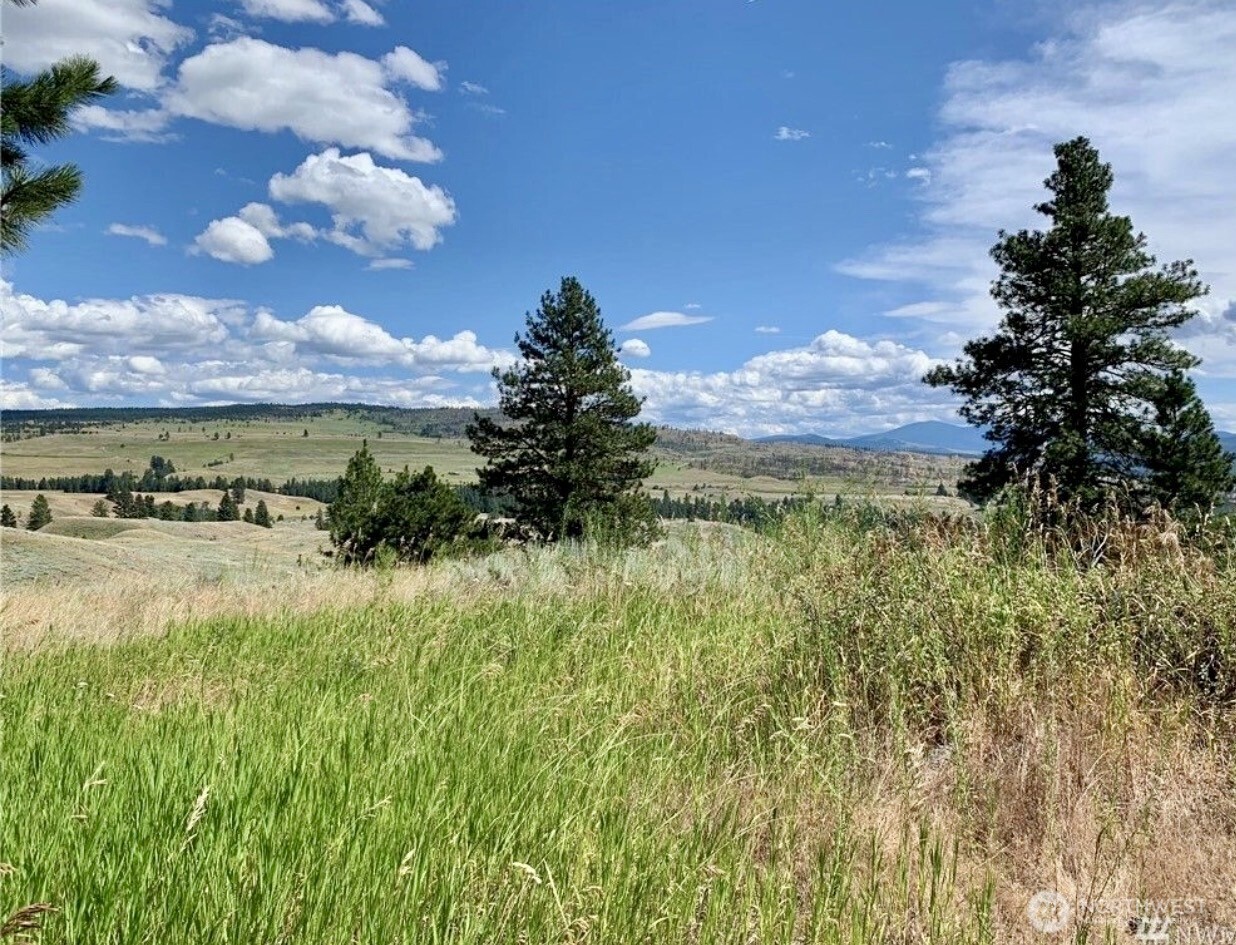 0 TBD Blue Grouse Road , Oroville, WA 98844