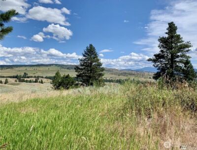 0 TBD Blue Grouse Road , Oroville, WA 98844 - Photo 4