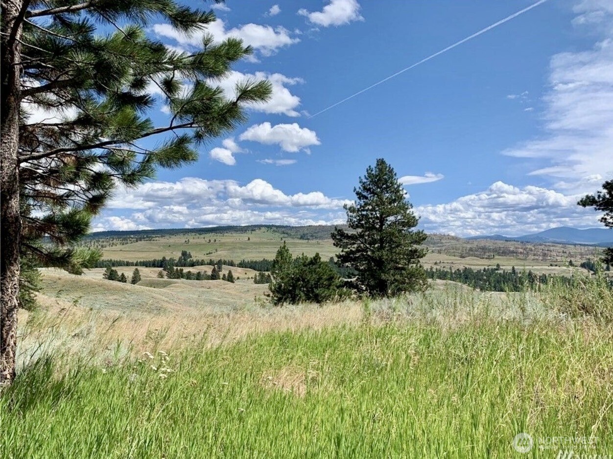 0 TBD Blue Grouse Road , Oroville, WA 98844