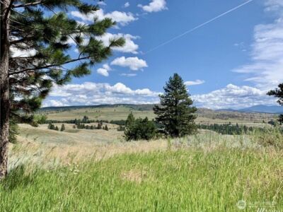 0 TBD Blue Grouse Road , Oroville, WA 98844 - Photo 5