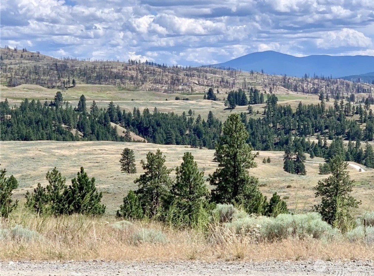 0 TBD Blue Grouse Road , Oroville, WA 98844