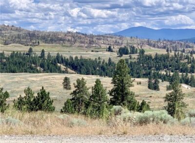 0 TBD Blue Grouse Road , Oroville, WA 98844 - Photo 7