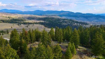 0 TBD Blue Grouse Road , Oroville, WA 98844 - Photo 9