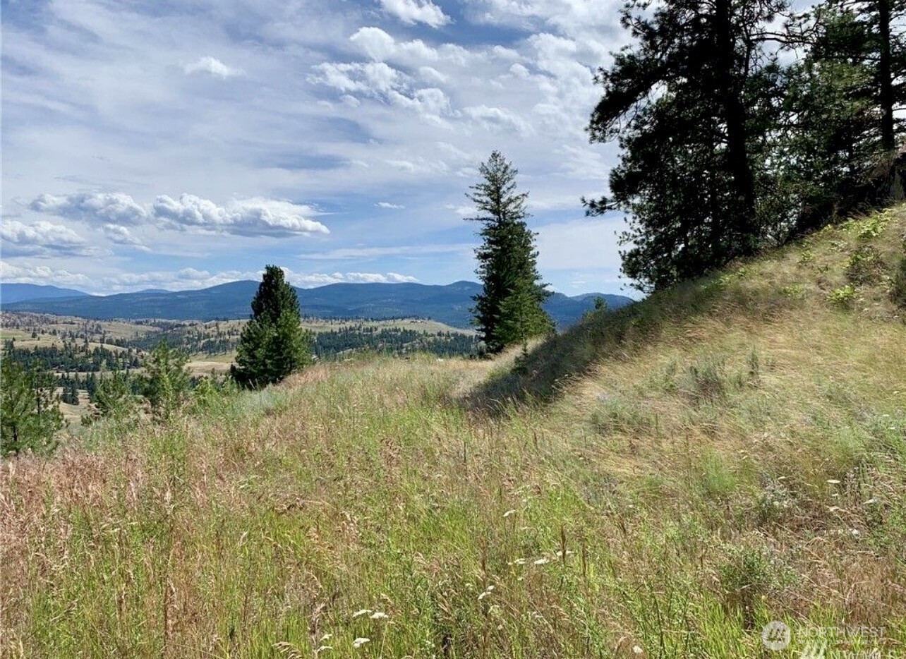 0 TBD Blue Grouse Road , Oroville, WA 98844