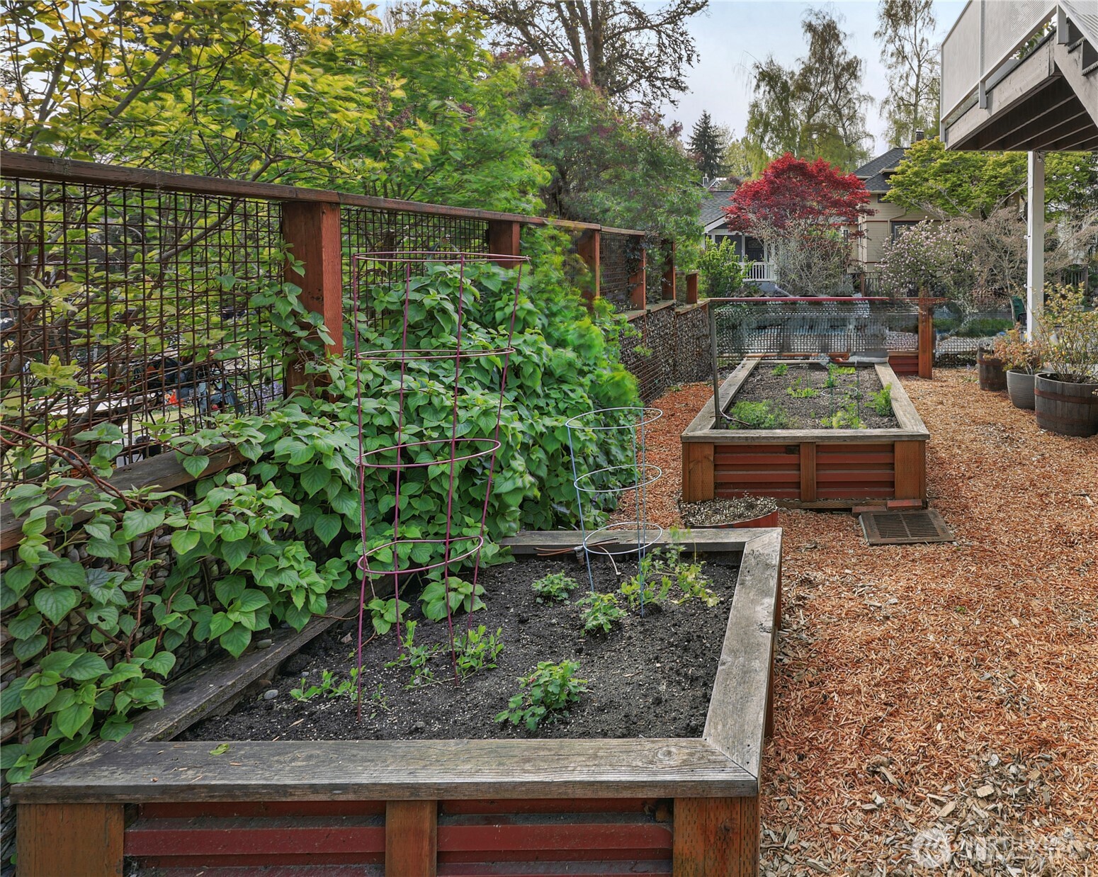 3203 E James Street , Seattle, WA 98122
