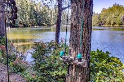 3 NE Wildberry Lake Drive , Tahuya, WA 98588 - Photo 21