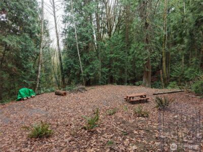 11408 62nd Avenue NW #Lot 2B, Tulalip, WA 98271 - Photo 12