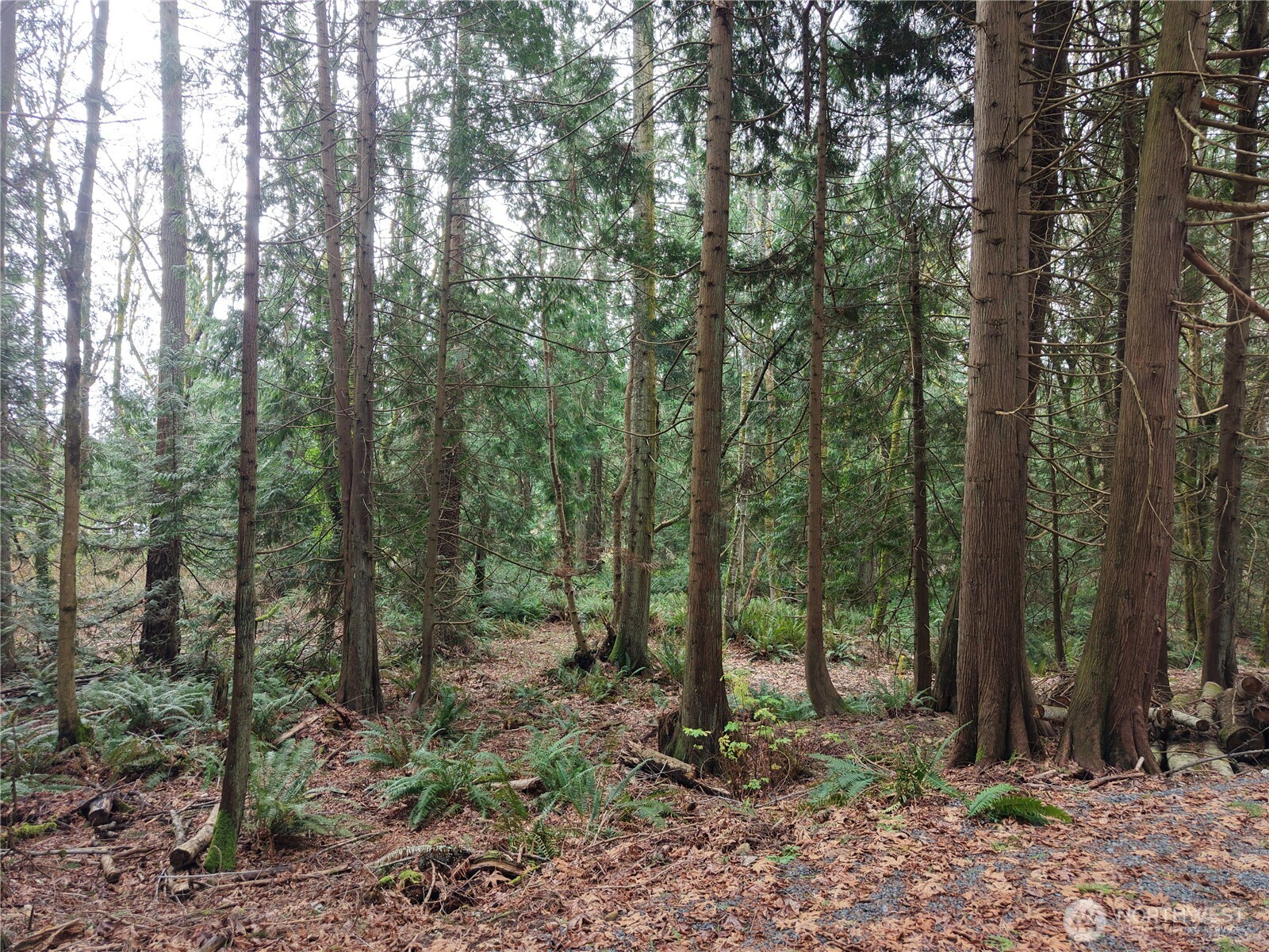 11408 62nd Avenue NW #Lot 2B, Tulalip, WA 98271