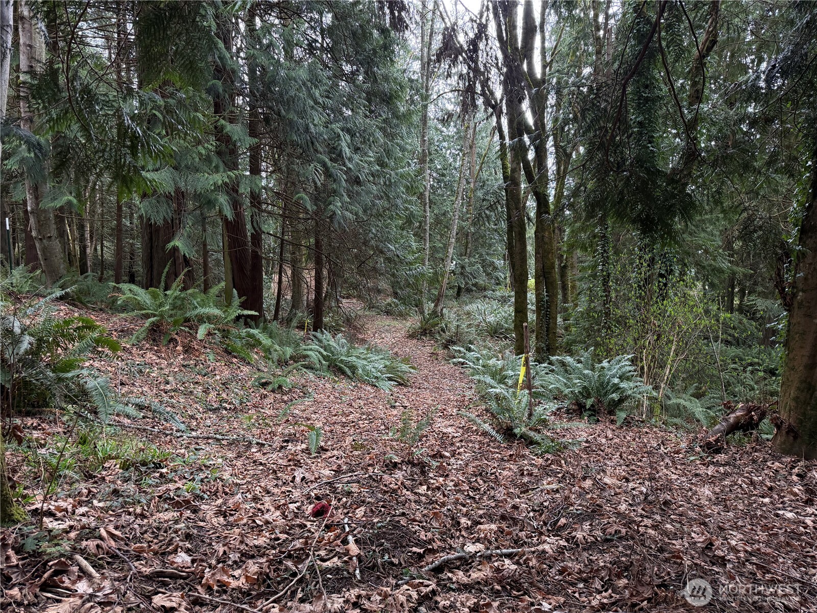 11408 62nd Avenue NW #Lot 2B, Tulalip, WA 98271
