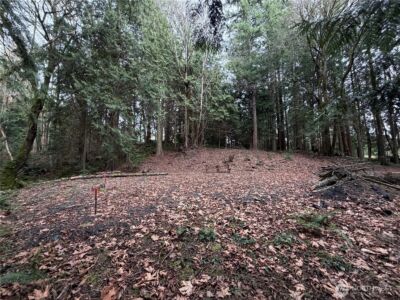 11408 62nd Avenue NW #Lot 2B, Tulalip, WA 98271 - Photo 15