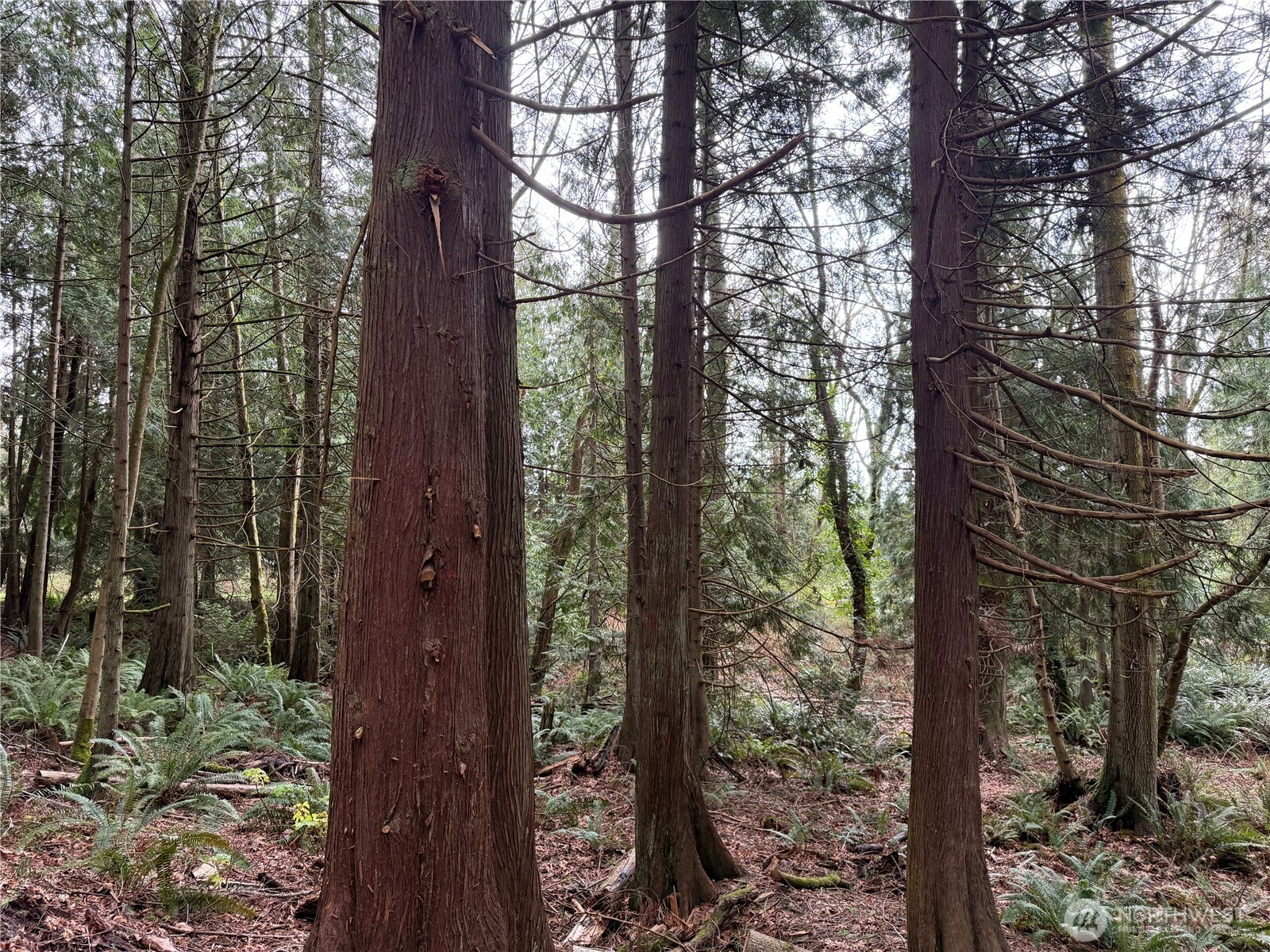 11408 62nd Avenue NW #Lot 2B, Tulalip, WA 98271