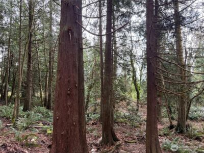11408 62nd Avenue NW #Lot 2B, Tulalip, WA 98271 - Photo 16