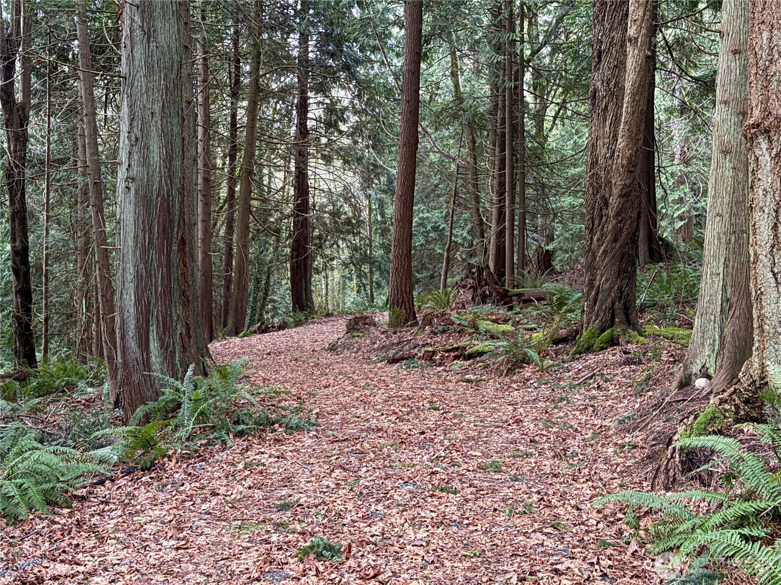 11408 62nd Avenue NW #Lot 2B, Tulalip, WA 98271