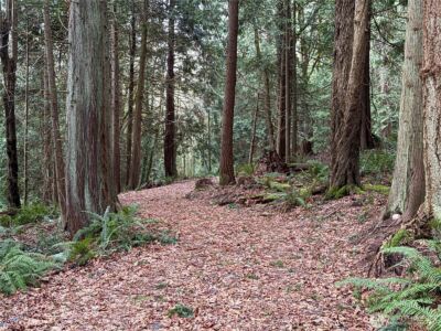 11408 62nd Avenue NW #Lot 2B, Tulalip, WA 98271 - Photo 18