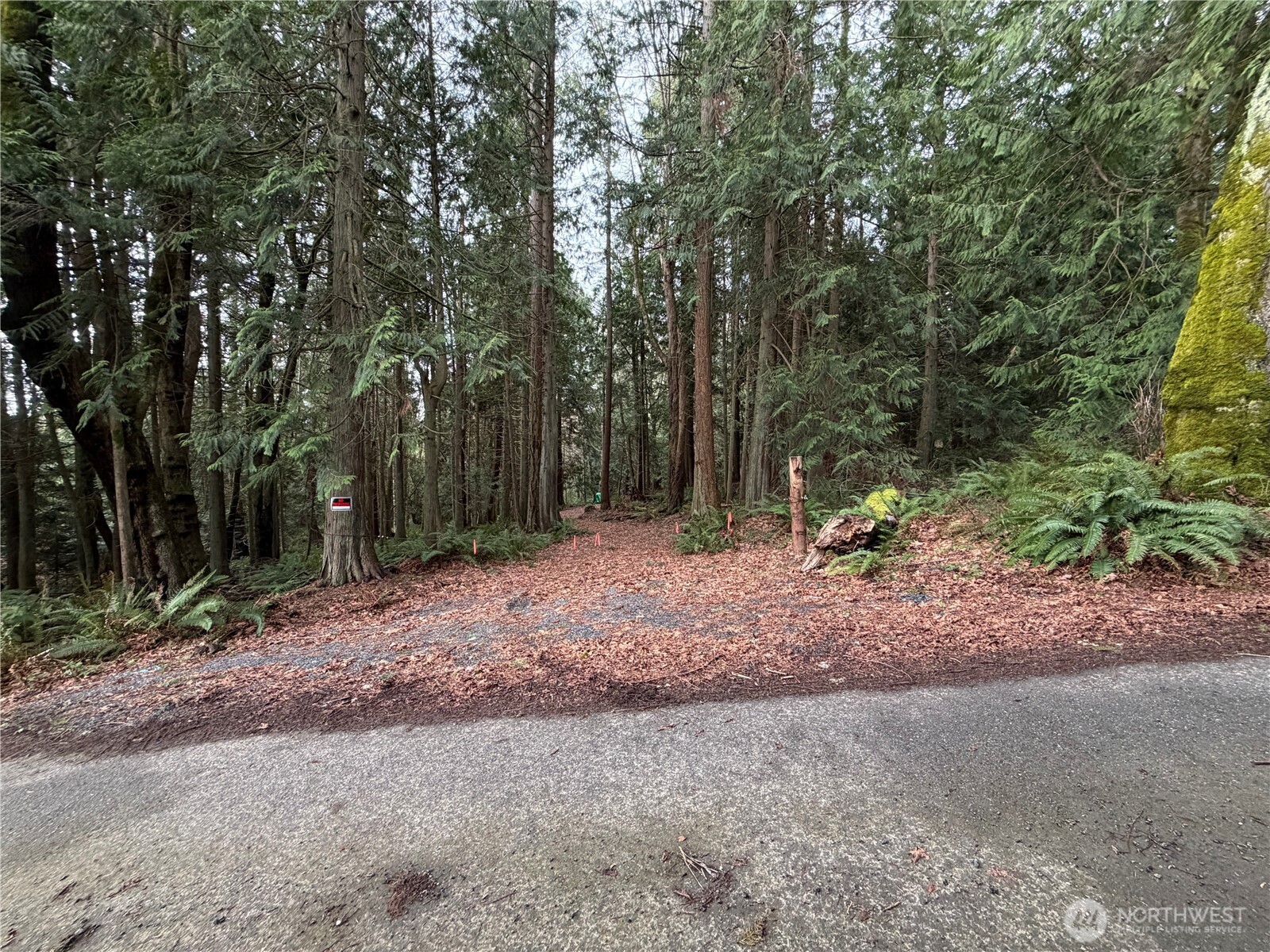 11408 62nd Avenue NW #Lot 2B, Tulalip, WA 98271