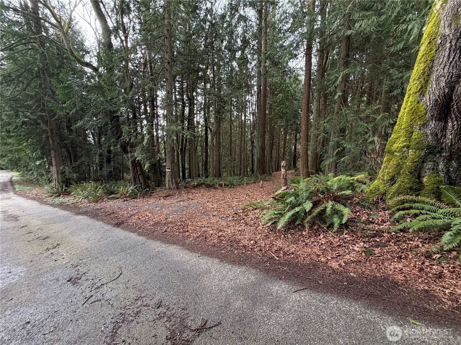 11408 62nd Avenue NW #Lot 2B, Tulalip, WA 98271