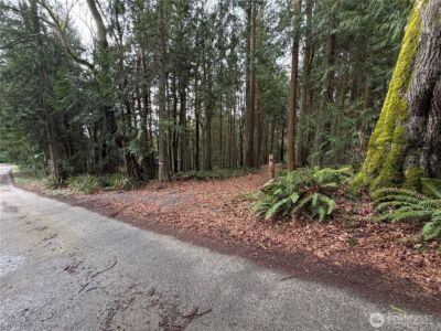 11408 62nd Avenue NW #Lot 2B, Tulalip, WA 98271 - Photo 20