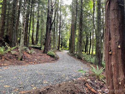11408 62nd Avenue NW #Lot 2B, Tulalip, WA 98271 - Photo 4