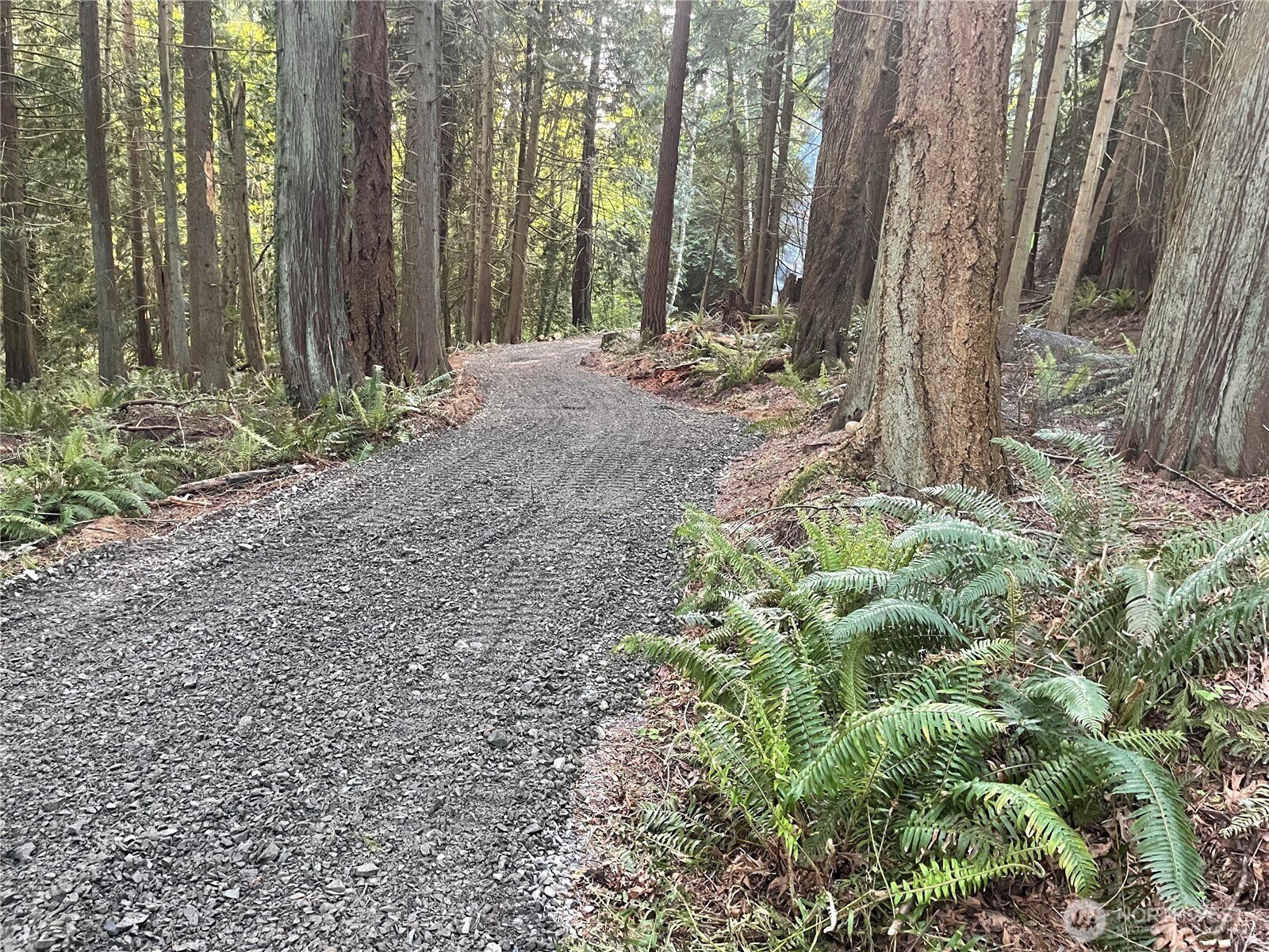 11408 62nd Avenue NW #Lot 2B, Tulalip, WA 98271