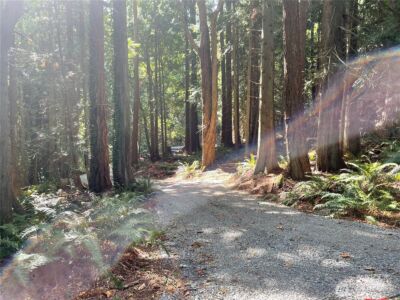 11408 62nd Avenue NW #Lot 2B, Tulalip, WA 98271 - Photo 7