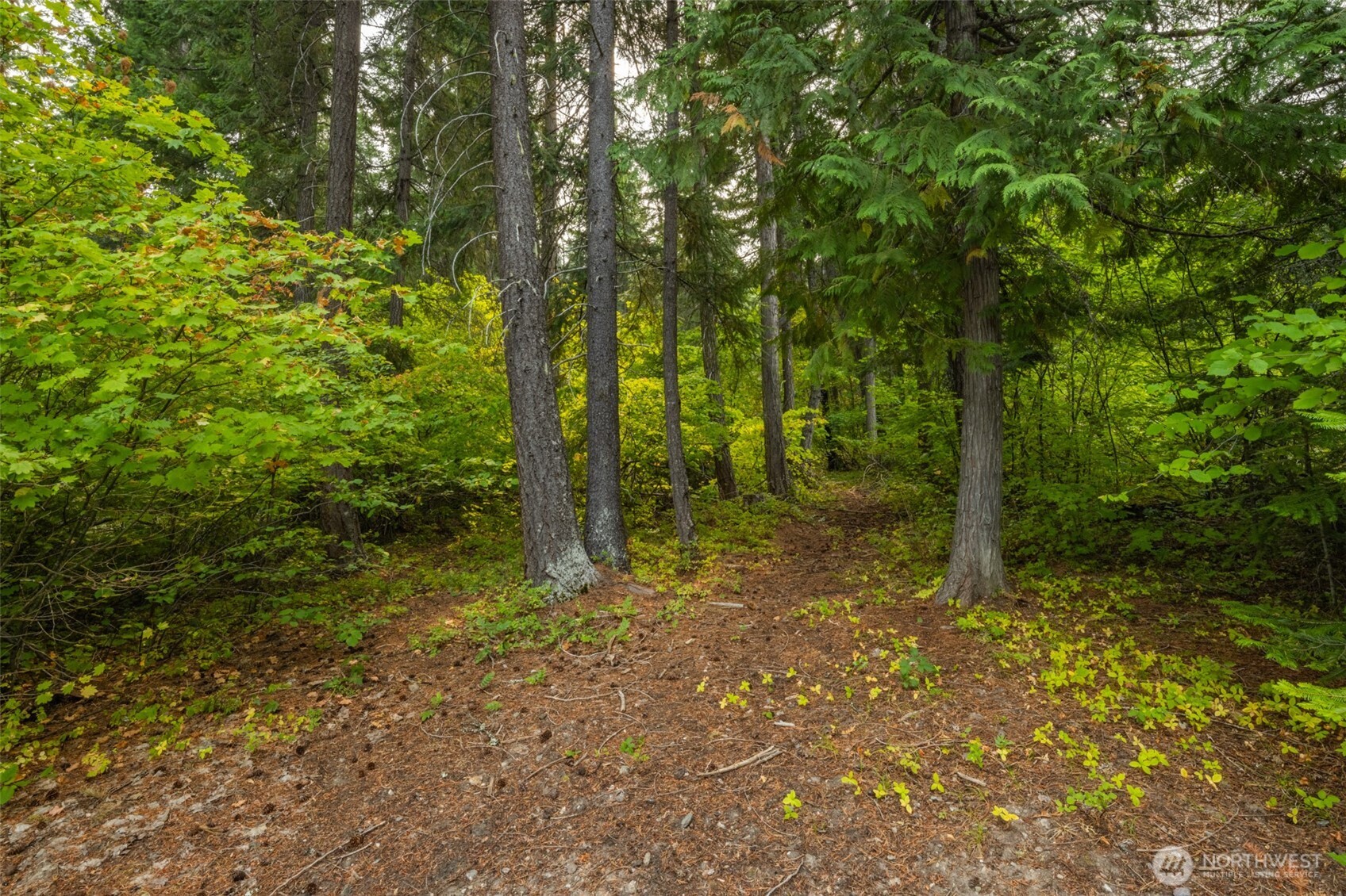 1850 Timber Mountain Loop , Cle Elum, WA 98922