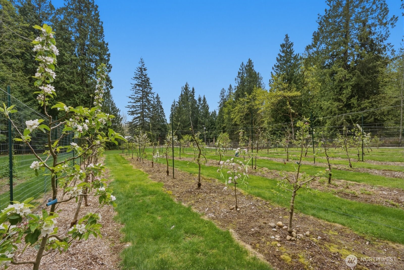 30972 E Lake Morton Drive SE, Kent, WA 98042