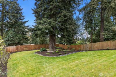 16358 Ashworth Avenue N, Shoreline, WA 98133 - Photo 28