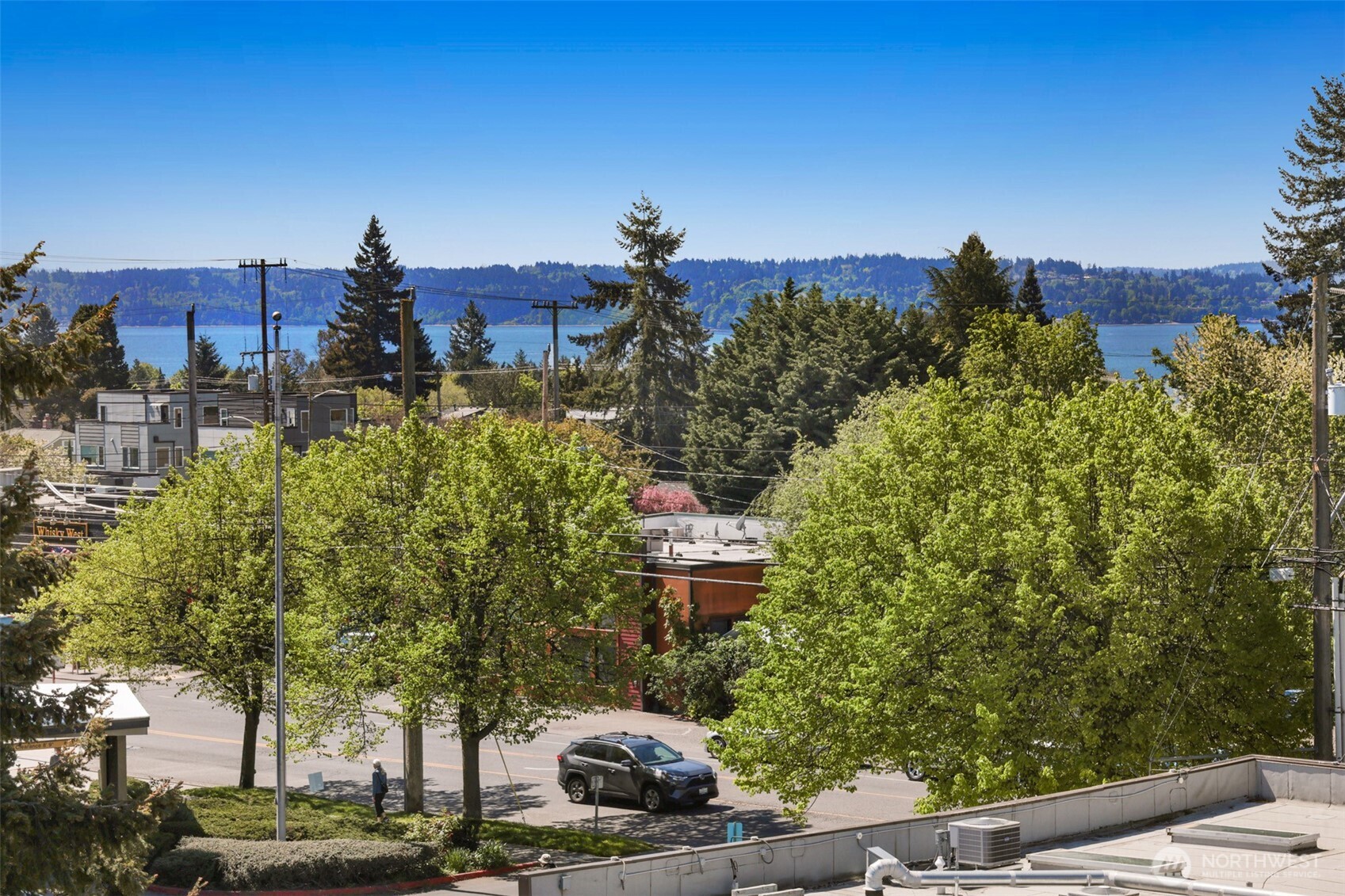 6315 42nd Avenue SW #B, Seattle, WA 98136