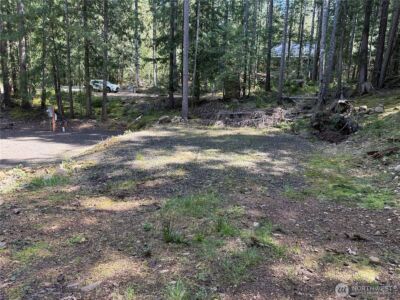 131 N Staircase Drive , Hoodsport, WA 98548 - Photo 10
